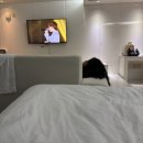 신신호텔 제주오션 이미지