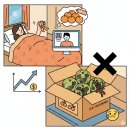 소굴조례점 | 제주 못난이 귤 주문했는데 곰팡이가? 파과 구매 전 꼭 알아야 할 체크리스트와 보관법! 🍊