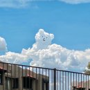 민지하우스