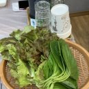 해신초장 이미지