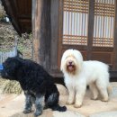 백산슈퍼
