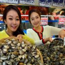 벌교엔마트 이미지