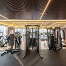 마스터 와이짐 이미지