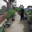 이화약국 Daum카페