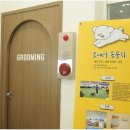대구애견미용 강아지호텔 모여라솜뭉치 이미지
