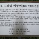 일오삼민박