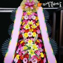 따봉꽃배달