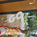 2025.8.24. 대관령트레일러닝 대회 이미지