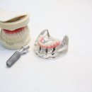 예일치과 이미지