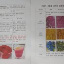 빨강놀이터 이미지