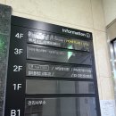 성성한의원 | 성성호수뷰 브라이덜 샤워, 셀리플레르 스튜디오 방문후기