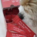 마미패션 | 마미앤대디 마시는 액상 철분제 청소년 영양제 직접 먹어본 후기