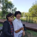 꽃님이약국 이미지