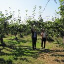 세림농장 이미지