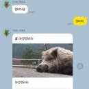 폴짝폴짝 줄넘기 이미지