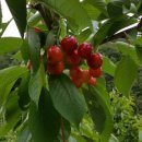 하금농장 이미지