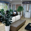 신창연세공인중개사사무소 이미지