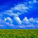 푸른초원 이미지