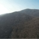 화담공인중개사사무소 이미지