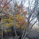 용천약수 이미지