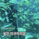 울진 | 울진 아쿠아리움 방문후기