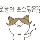 샤브향 상인점 이미지