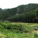 고와1교 이미지