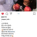 열방농장 | 문경 감홍사과! 열방농장, 인생사과라고 극찬받는 후기들~