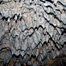 제주 한림 용암동굴지대 이미지