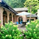 겔러리 카페 이미지