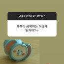 꿀밤타코야끼 이미지