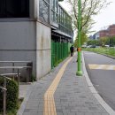 서울응봉초등학교 이미지