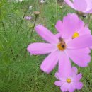 길마행정사 사무소 이미지