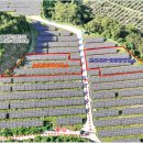 햇살지기태양광발전소 이미지