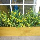 피카소어린이집 이미지