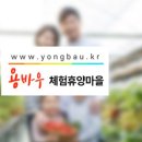 용바우농촌체험휴양마을 이미지