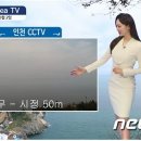 해조원 이미지