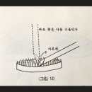 동양장식 - 중구 병영로 8 | [EP6]'동양꽃꽂이 경사형/직립형' 화훼장식기능사 실기 합격 후기