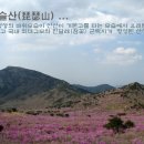 제160차 4월19(토) 100대명산 참꽃 축제가 열리는 진달래 명산 대구 비슬산 산행 공지 이미지
