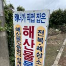 복순이네 이미지