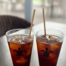 써니터틀 이미지