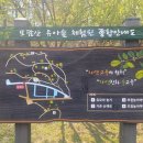 모담산 유아숲체험원 이미지