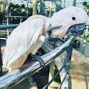 경주버드파크 이미지