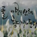 소소한향기 이미지