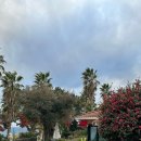 제주 올레길 7코스 이미지