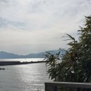 스테이변산바람꽃 이미지