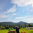 여수랑남도랑여행협동조합 | 여수 가족여행 추천 여수 특산품 돌산갓 체험관광 갓김치 만들기