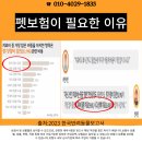 푸른하늘 동물병원 이미지