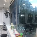 라온헤어 | 안산 미용실 레이어드컷 후기 라온하루헤어