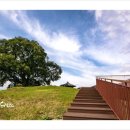 대산체육공원 이미지